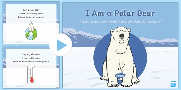 Detail Polar Bear Powerpoint Nomer 18