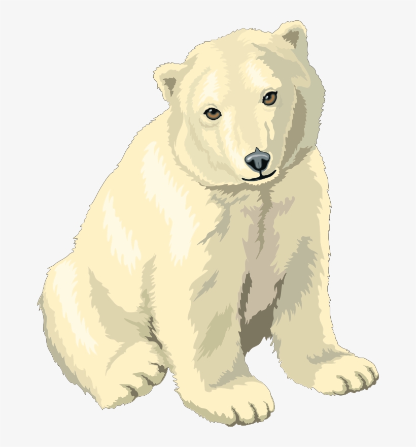 Detail Polar Bear Sitting Clipart Nomer 25