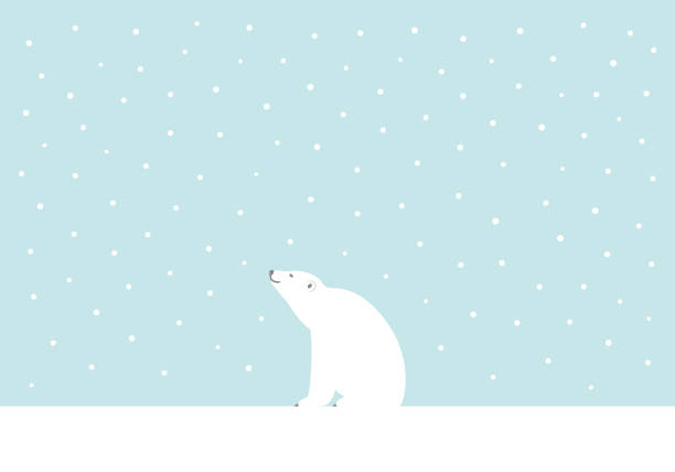 Detail Polar Bear Sitting Clipart Nomer 54