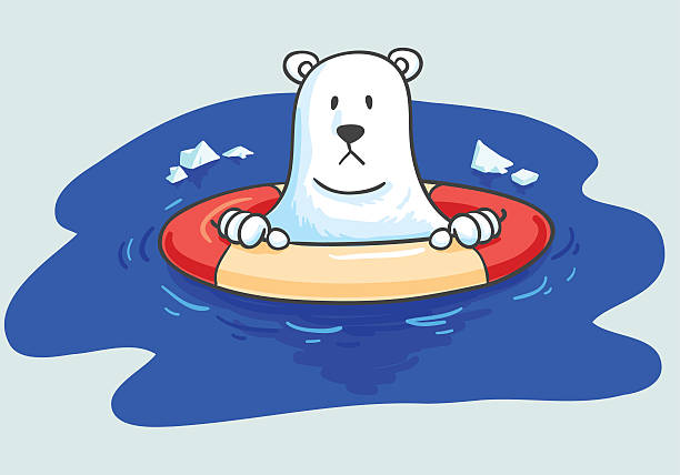 Detail Polar Bear Swimming Clipart Nomer 2