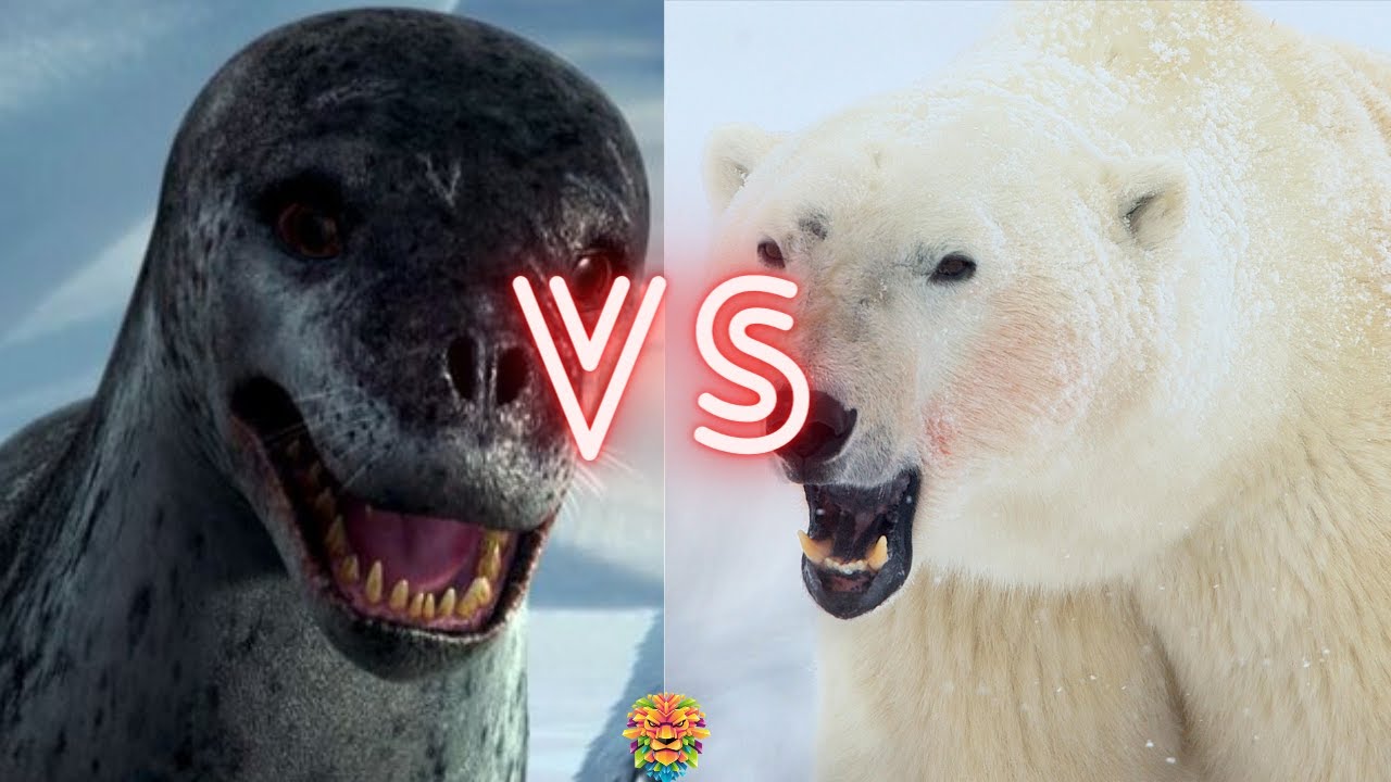 Polar Bear Vs Leopard Seal - KibrisPDR