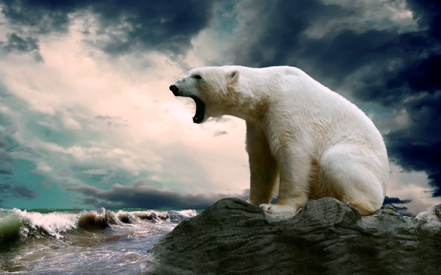 Detail Polar Bear Wallpaper Nomer 6