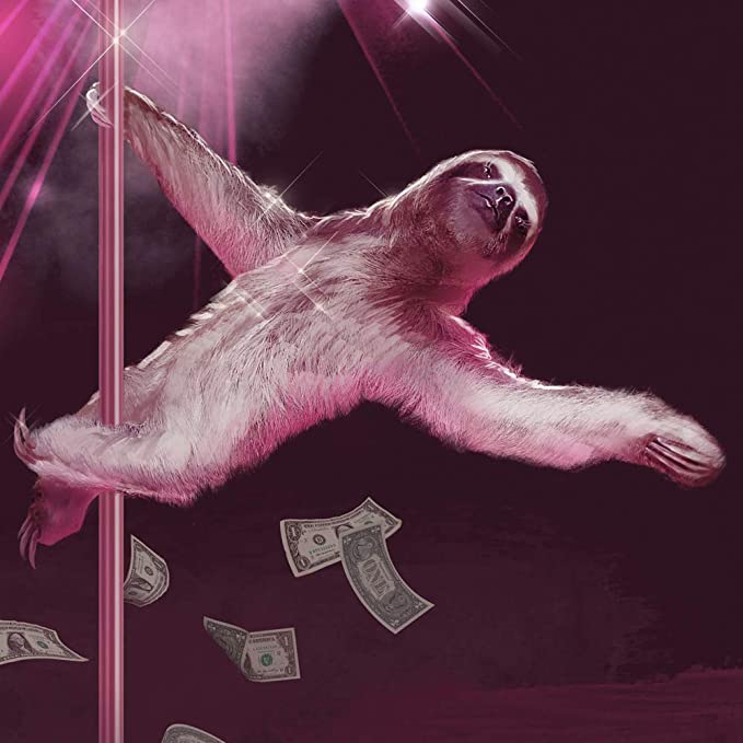 Detail Pole Dancing Sloth Nomer 12