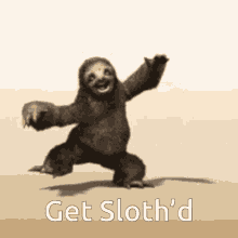 Detail Pole Dancing Sloth Nomer 33