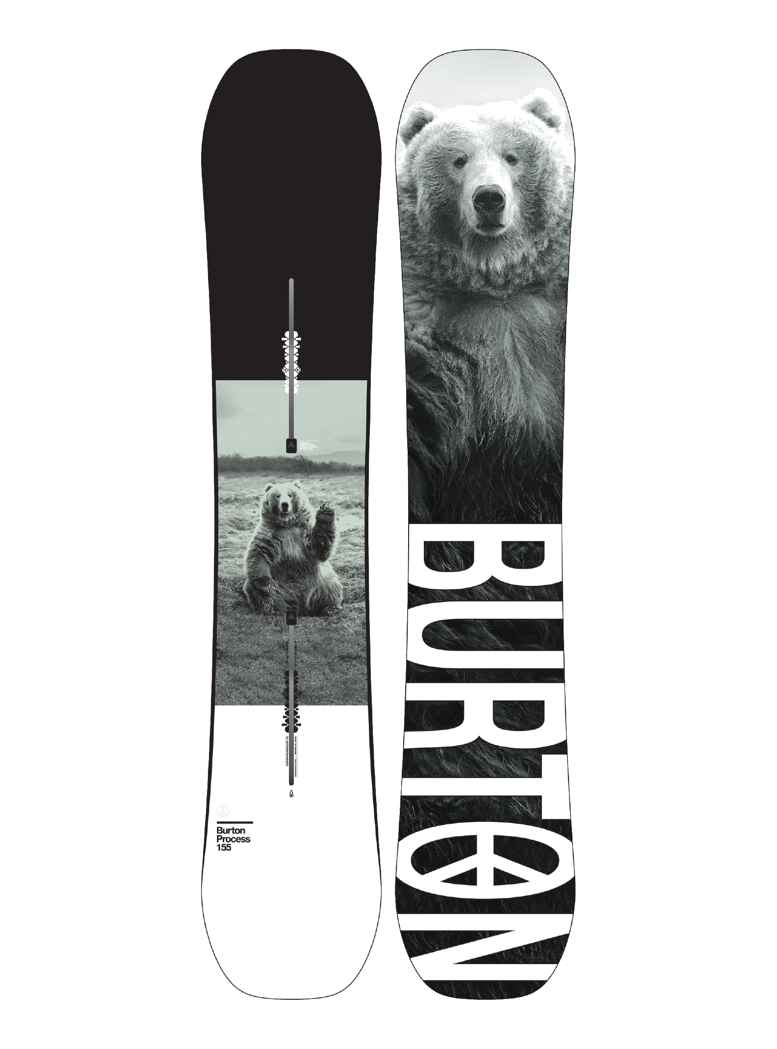 Detail Polo Bear Snowboard Nomer 52