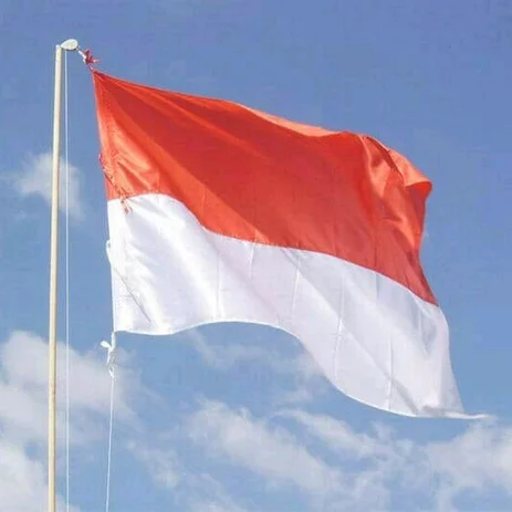 Detail Polosan Bendera Merah Putih Nomer 25