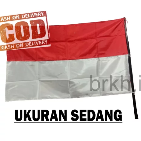 Detail Polosan Bendera Merah Putih Nomer 27