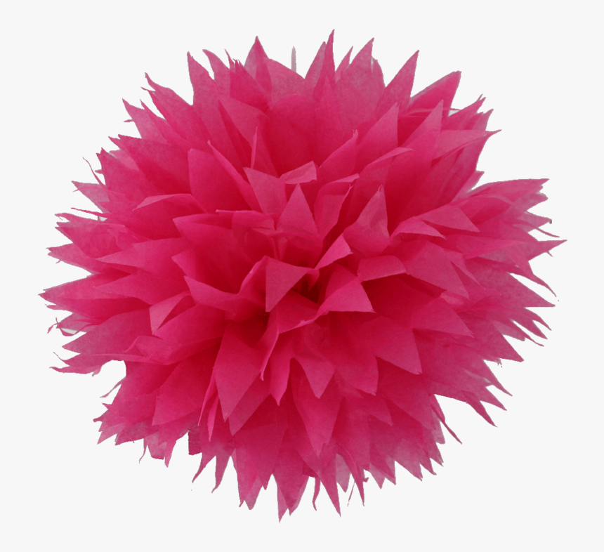 Detail Pom Pom Png Nomer 29