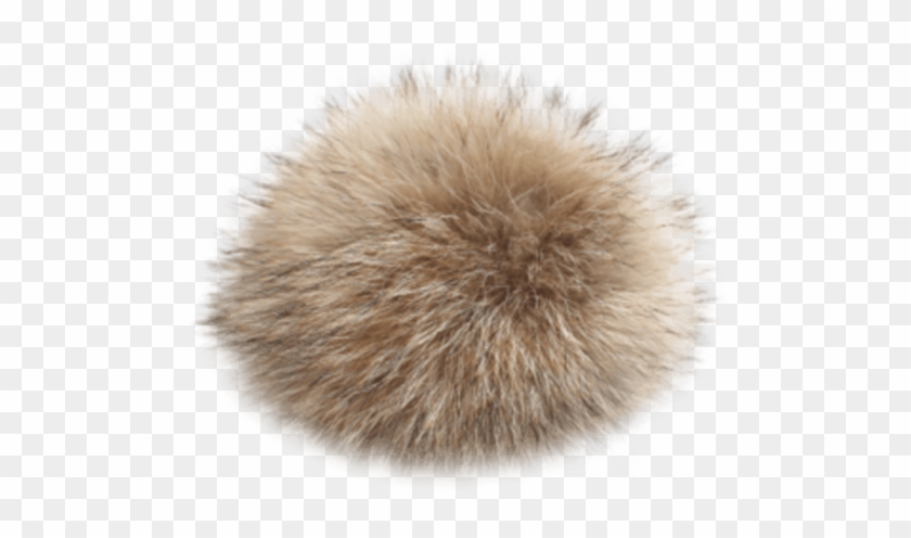 Detail Pom Pom Png Nomer 45