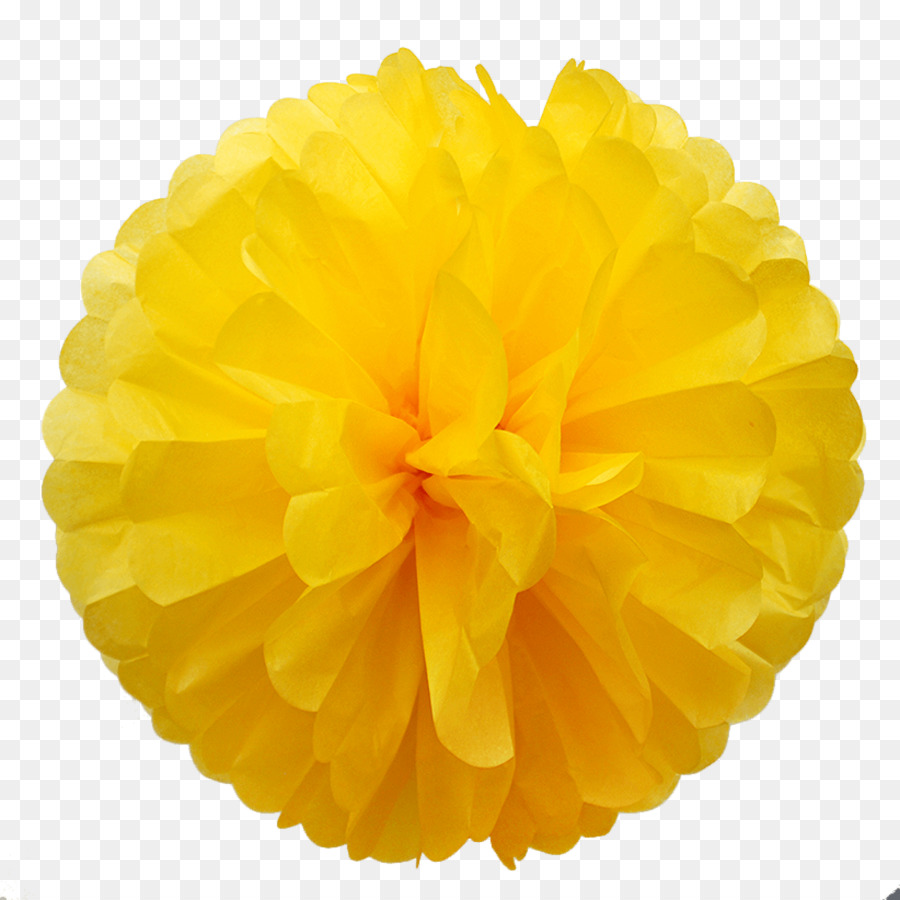 Detail Pom Pom Png Nomer 46