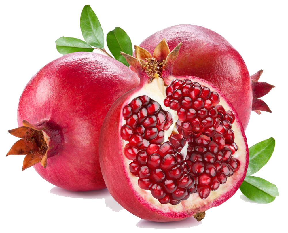 Detail Pomegranate Clipart Nomer 10