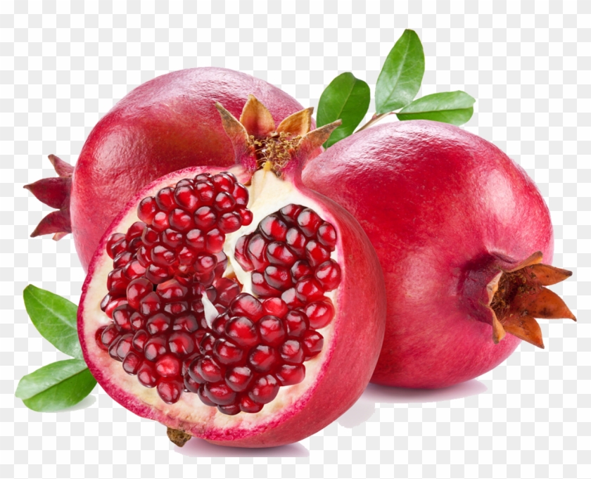 Detail Pomegranate Clipart Nomer 11