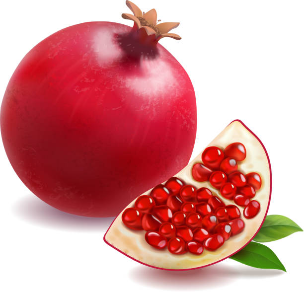 Detail Pomegranate Clipart Nomer 18