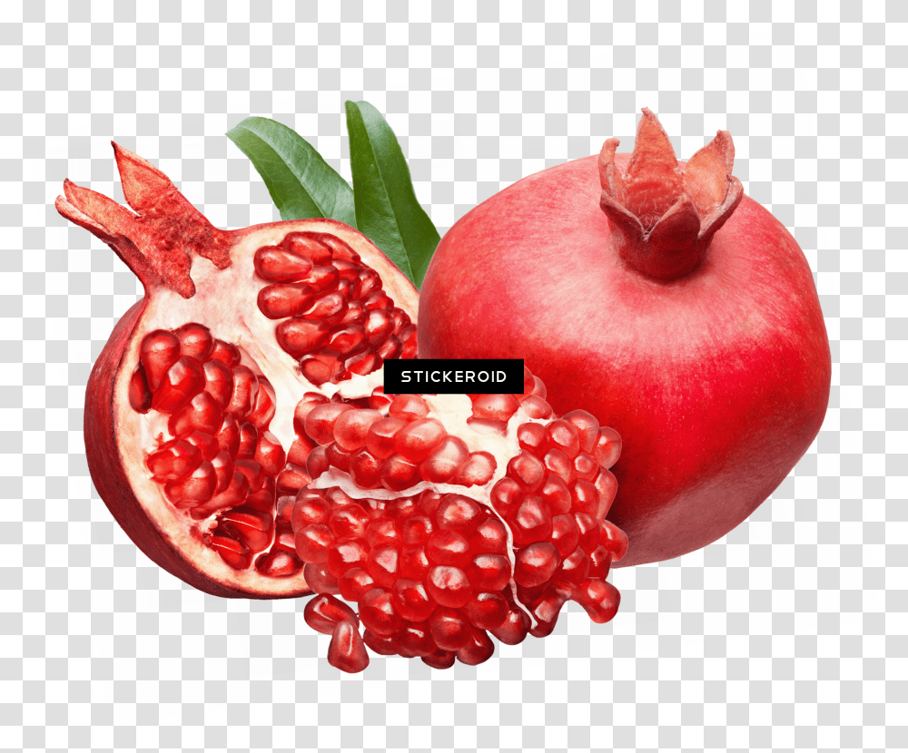 Detail Pomegranate Clipart Nomer 24