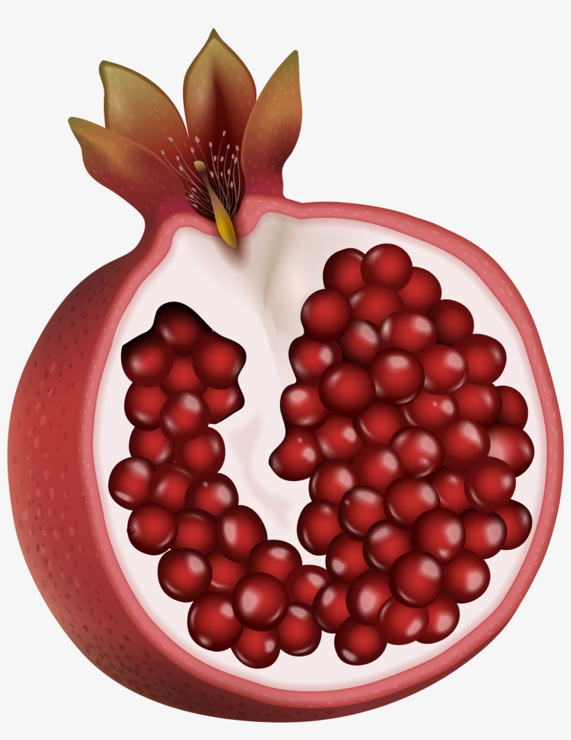 Detail Pomegranate Clipart Nomer 30