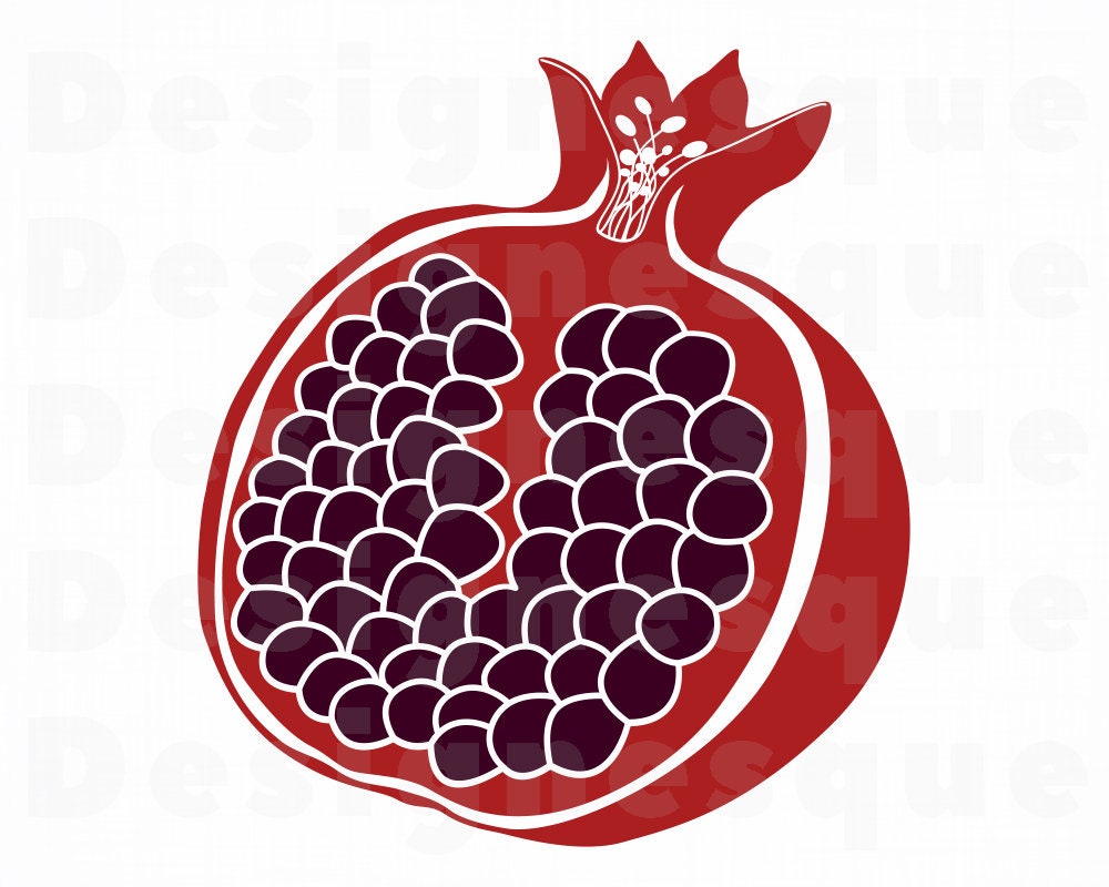 Detail Pomegranate Clipart Nomer 33