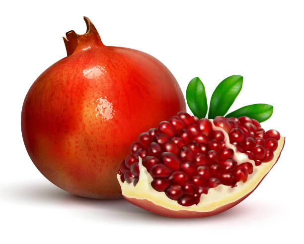 Detail Pomegranate Clipart Nomer 5