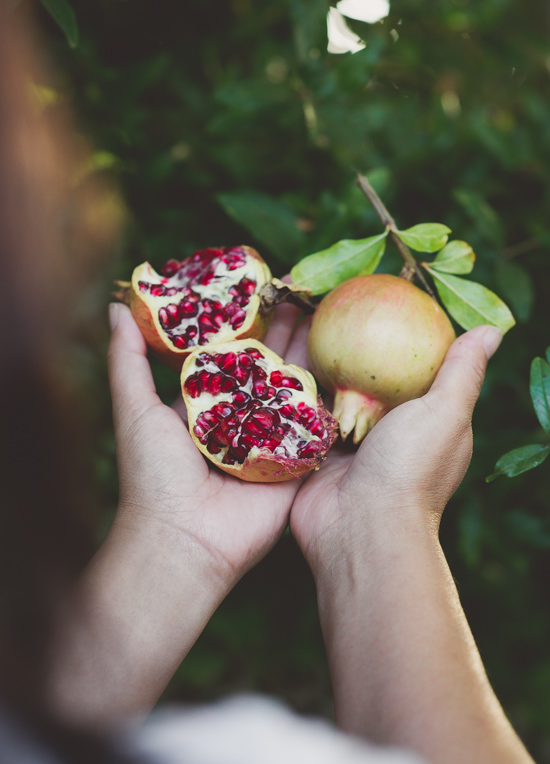 Detail Pomegranate Images Nomer 40