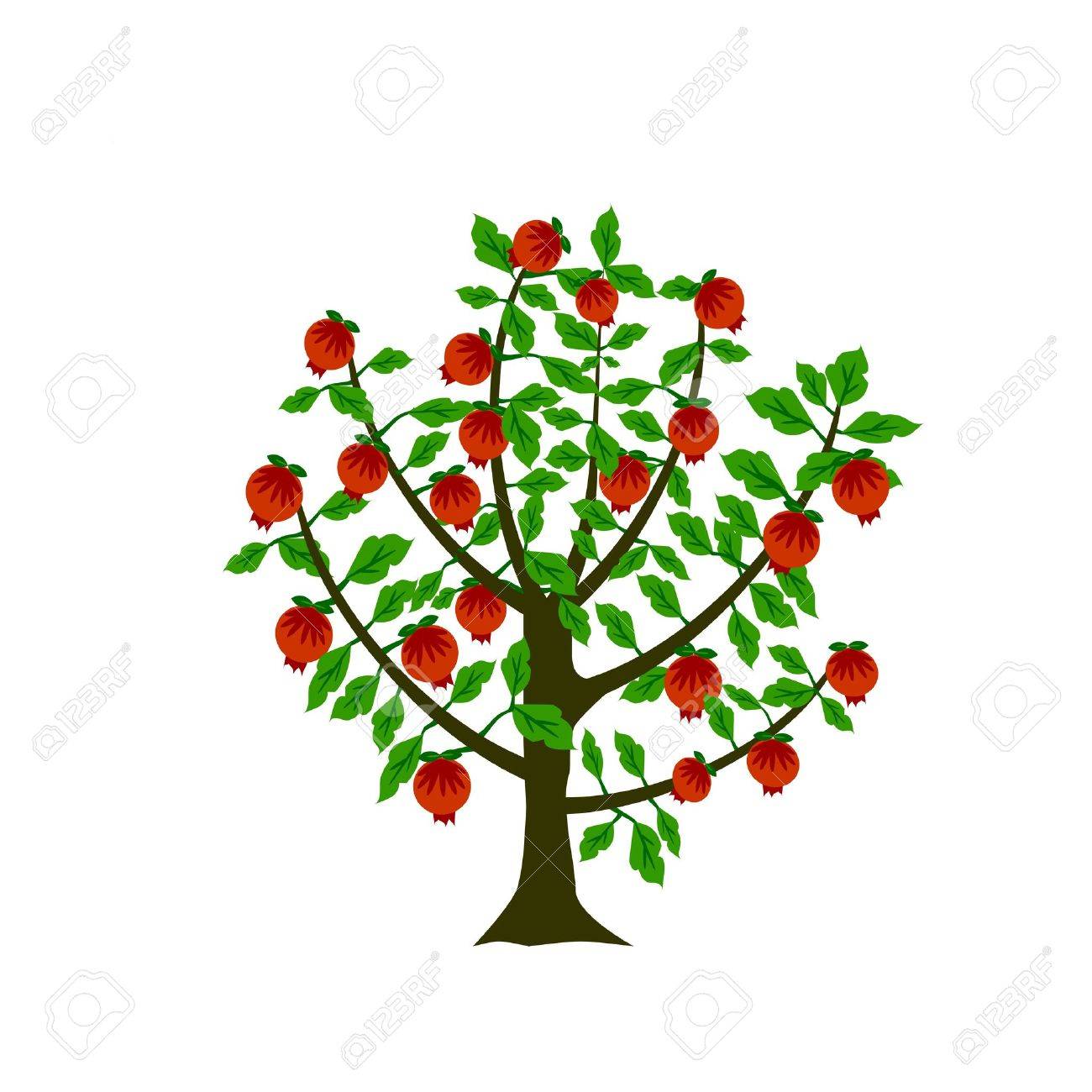 Detail Pomegranate Tree Clipart Nomer 3