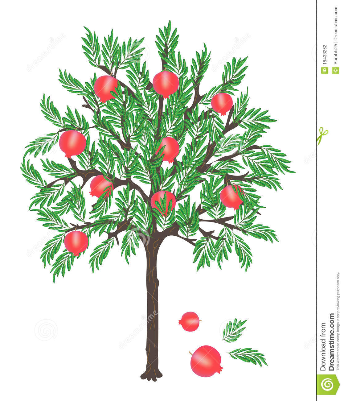 Detail Pomegranate Tree Clipart Nomer 4