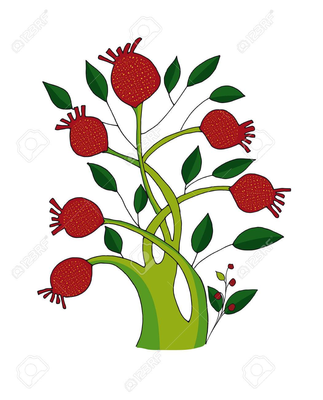 Detail Pomegranate Tree Clipart Nomer 33