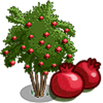 Detail Pomegranate Tree Clipart Nomer 34