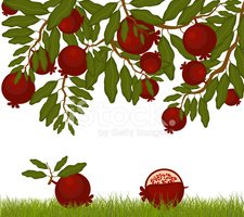 Detail Pomegranate Tree Clipart Nomer 37