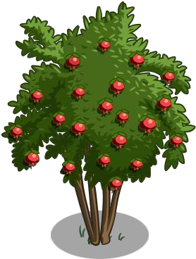 Detail Pomegranate Tree Clipart Nomer 44