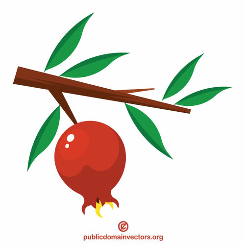 Detail Pomegranate Tree Clipart Nomer 55