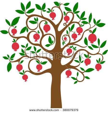 Detail Pomegranate Tree Clipart Nomer 9