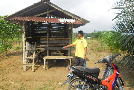 Detail Pondok Di Kebun Nomer 29