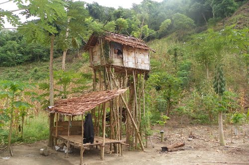 Detail Pondok Di Kebun Nomer 31