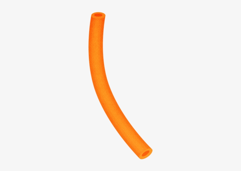 Detail Pool Noodles Png Nomer 2