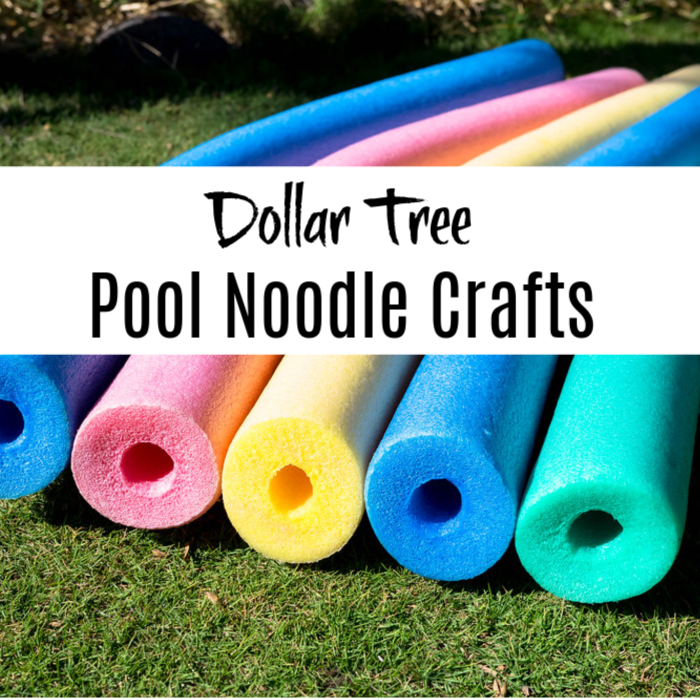 Detail Pool Noodles Png Nomer 36