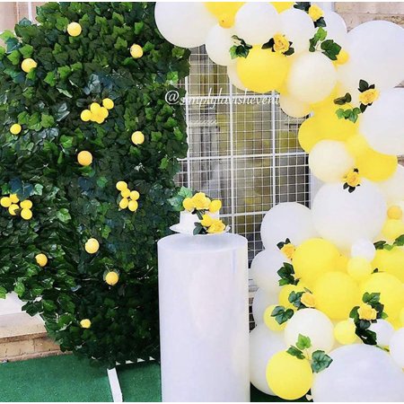 Detail Popcorn Balloon Garland Nomer 46