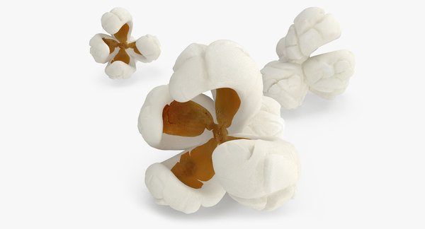 Detail Popcorn Kernel Image Nomer 20
