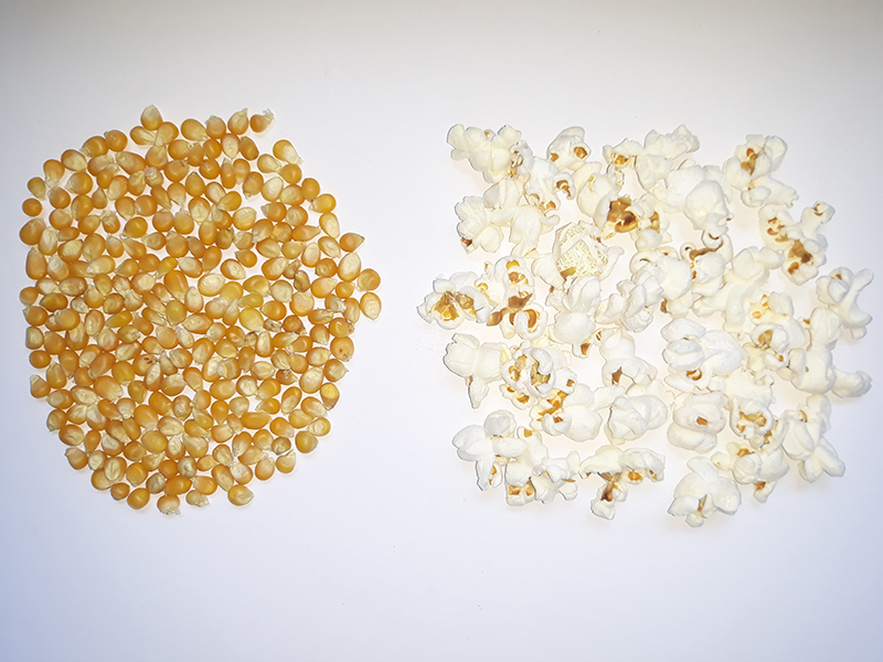 Detail Popcorn Kernel Image Nomer 22