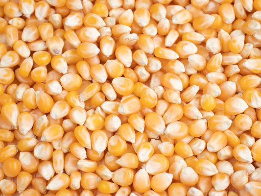 Detail Popcorn Kernel Image Nomer 24