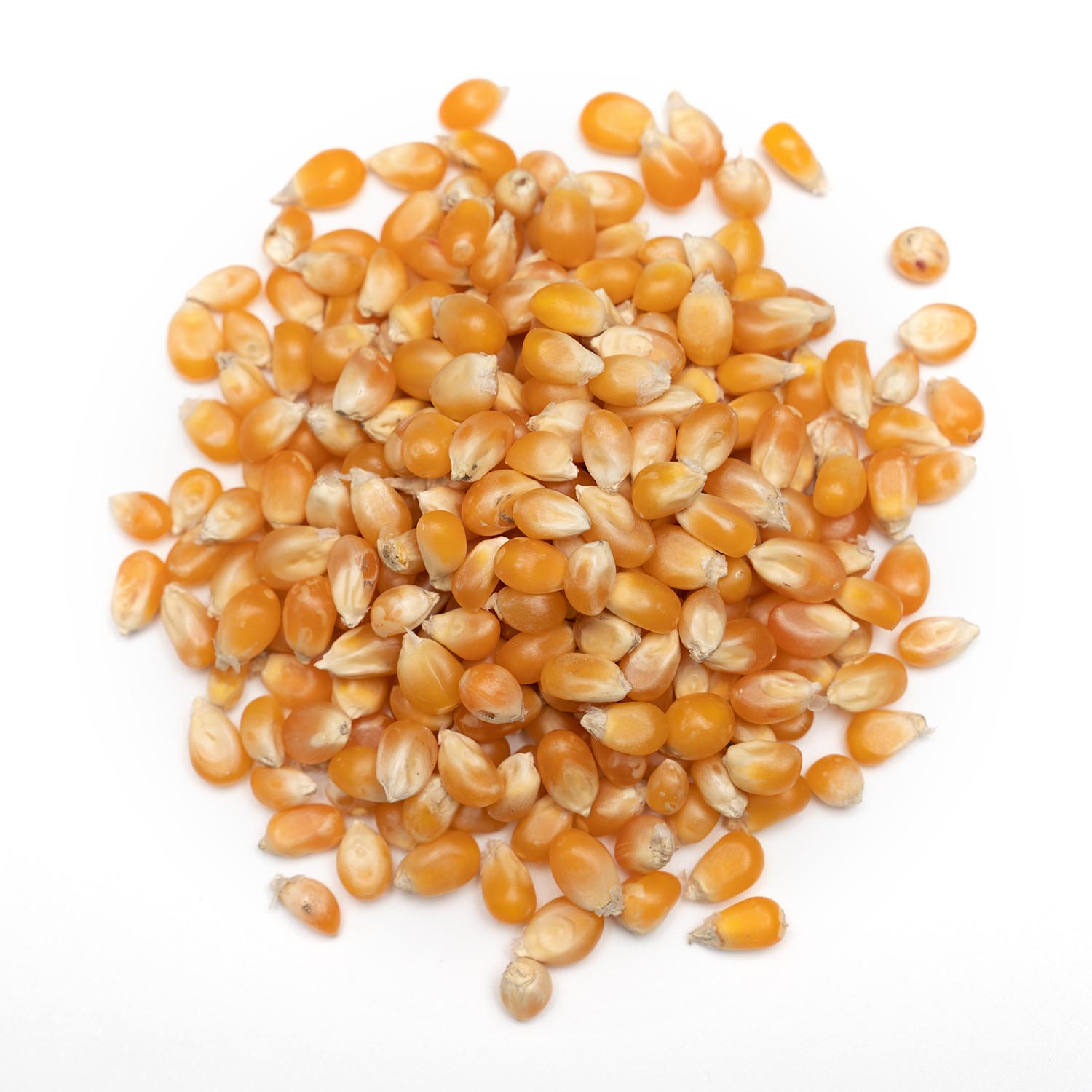 Detail Popcorn Kernel Image Nomer 25