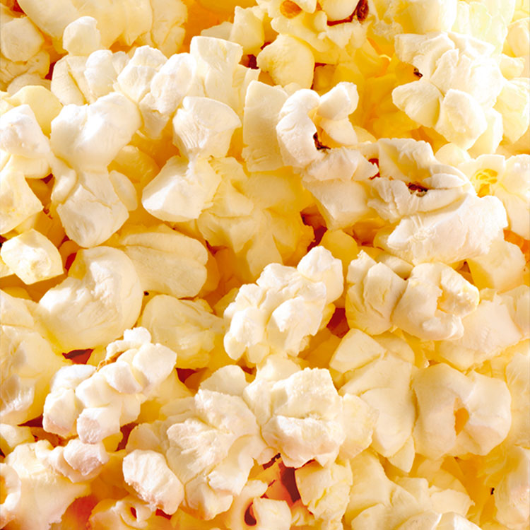 Detail Popcorn Kernel Image Nomer 27
