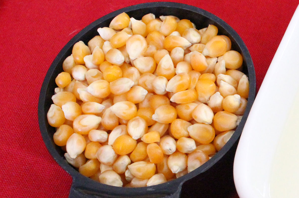 Detail Popcorn Kernel Image Nomer 30