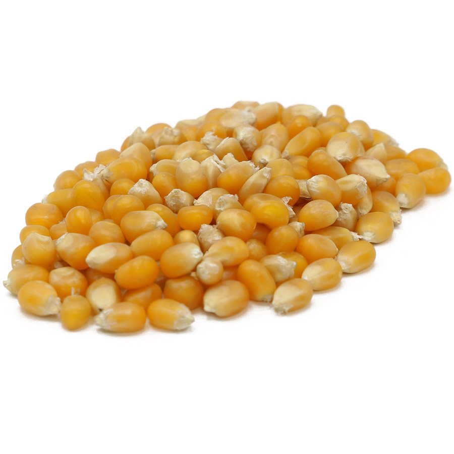 Detail Popcorn Kernel Image Nomer 32