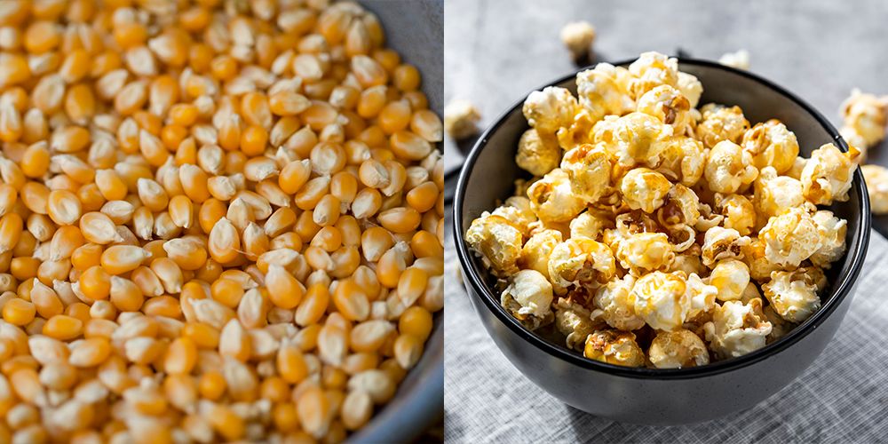 Detail Popcorn Kernel Image Nomer 33