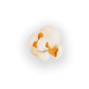 Detail Popcorn Kernel Image Nomer 38
