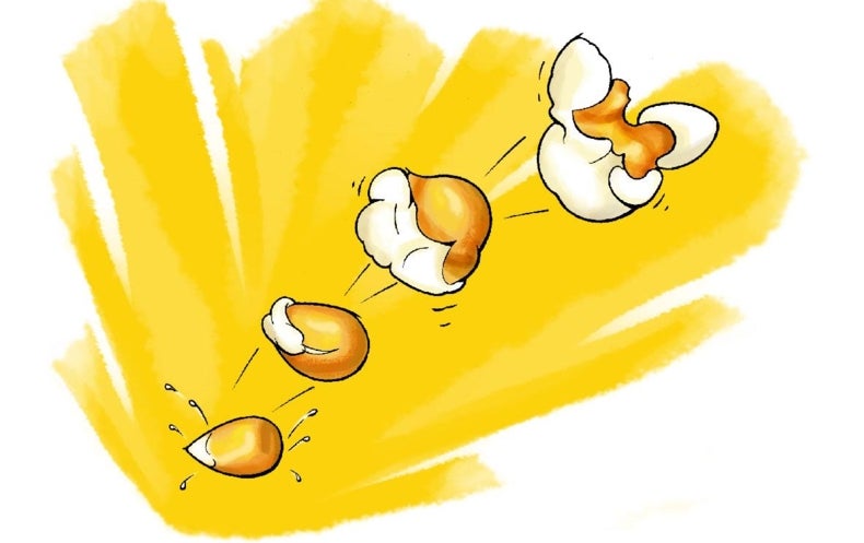 Detail Popcorn Kernel Image Nomer 42