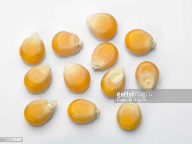 Detail Popcorn Kernel Image Nomer 44
