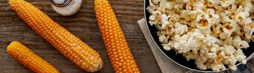 Detail Popcorn Kernel Image Nomer 46
