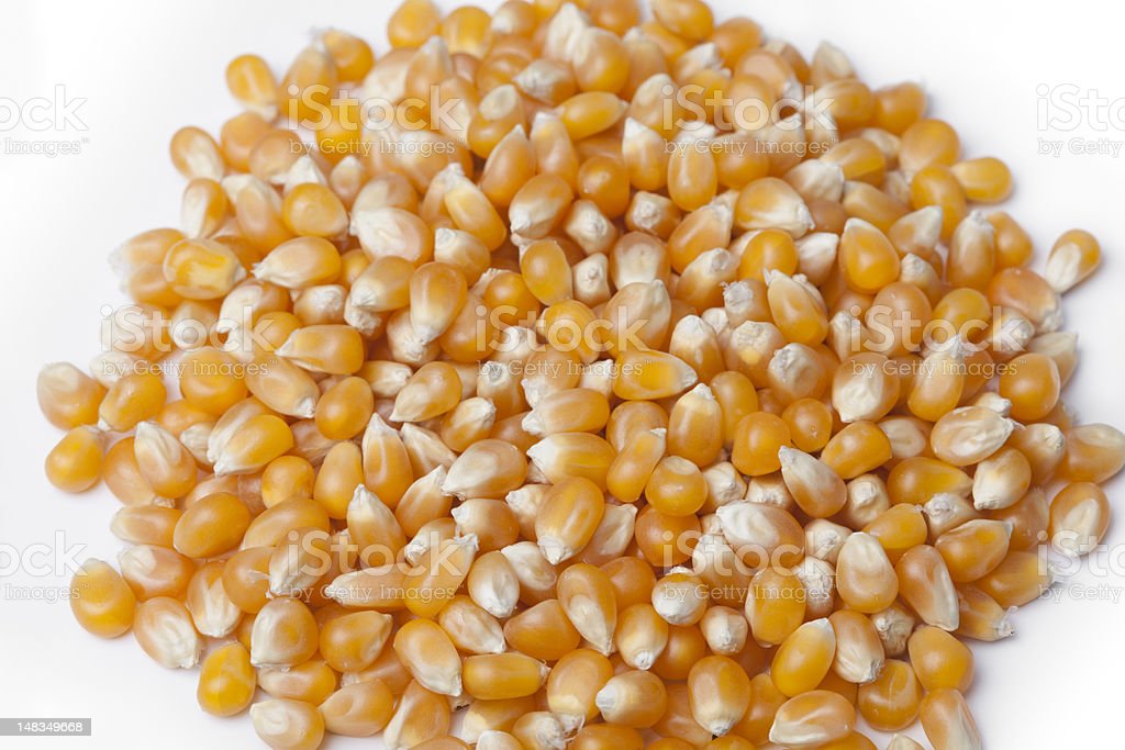 Detail Popcorn Kernel Image Nomer 54