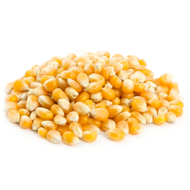 Detail Popcorn Kernel Image Nomer 8