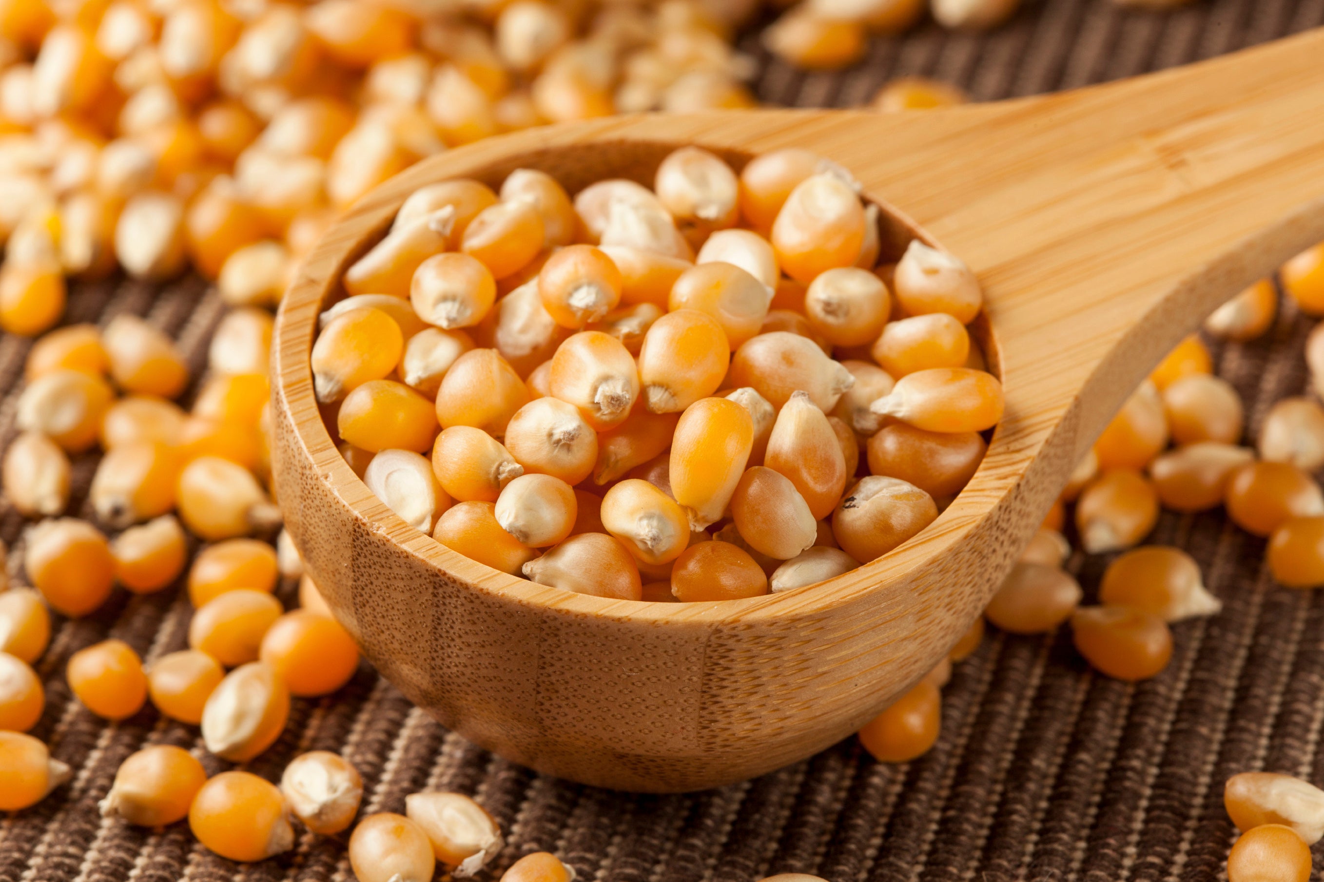Detail Popcorn Kernel Image Nomer 10